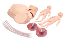 XC402B Childbirth Skill Training Simulator