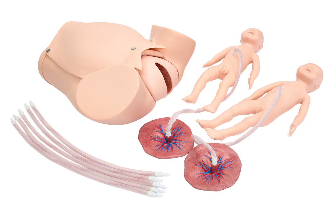 XC402B Childbirth Skill Training Simulator