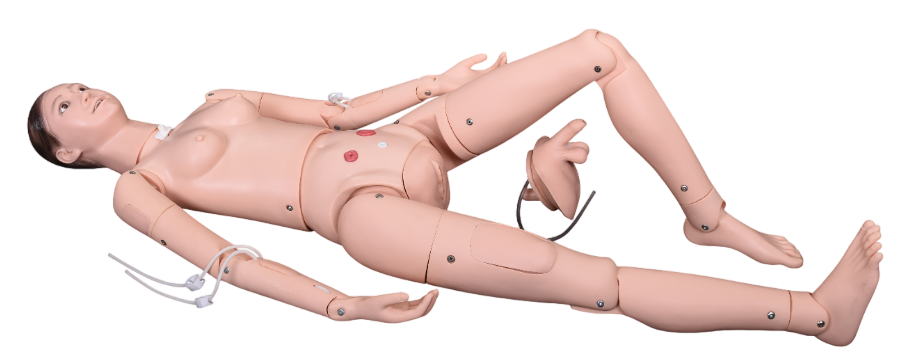 XC401 Unisex Patient Care Mannequin