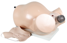 XC402 - Model of Course of Delivery