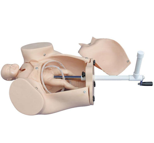 XC402A Model of Course of Delivery