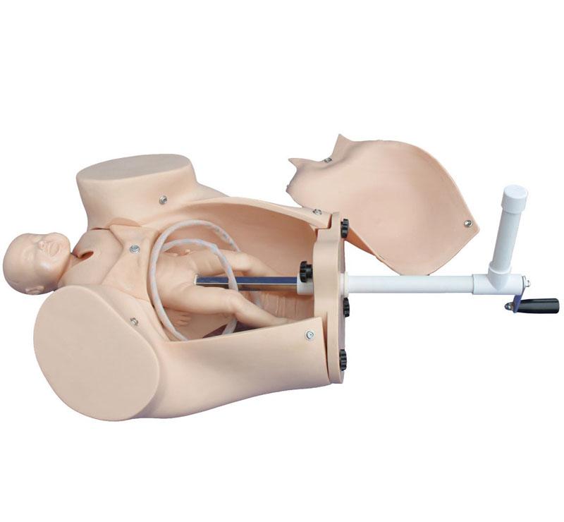 XC402A Model of Course of Delivery