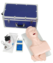XC407 Human Intubation Teaching Model