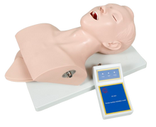 XC407 Human Intubation Teaching Model