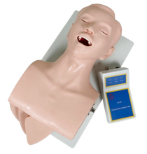 XC407 Human Intubation Teaching Model