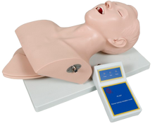 XC407 Human Intubation Teaching Model