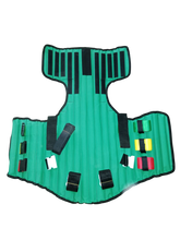 BS01 Kendrick Extrication Device