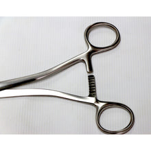 Museuxs Vusellum Forcep 10.5"