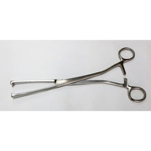 Museuxs Vusellum Forcep 10.5"