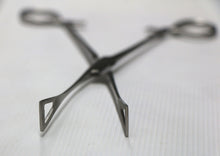 Pennington Forcep 16cm