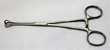 Babcock Forcep