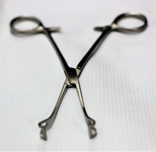 Babcock Forcep