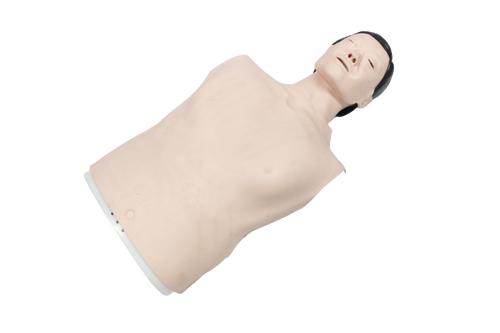 XC404A Half Body CPR Training Model (Male)