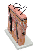 XC313-3 Skin Section Model