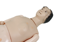 XC401 Patient Care Mannequin