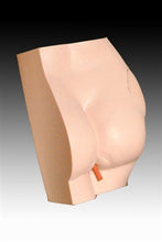 XC431 Buttock Injection Model