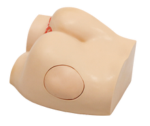 XC431 Buttock Injection Model