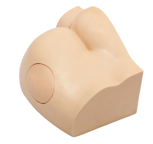 XC431 Buttock Injection Model