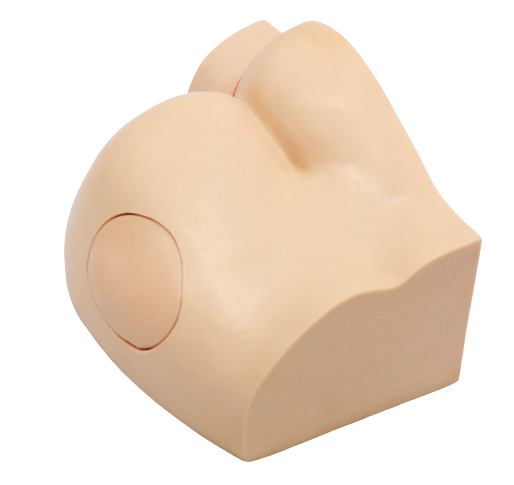 XC431 Buttock Injection Model