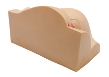 XC431 Buttock Injection Model