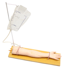 XC434 Injectable IV Arm Training Model